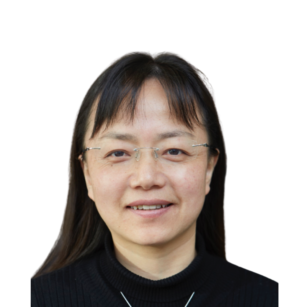 Professor Liangxiu Han