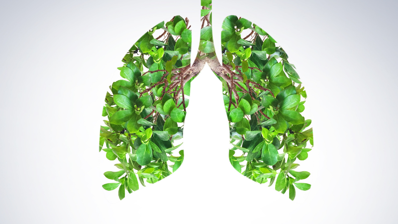 Brand new toolkit to guide respiratory care towards sustainability