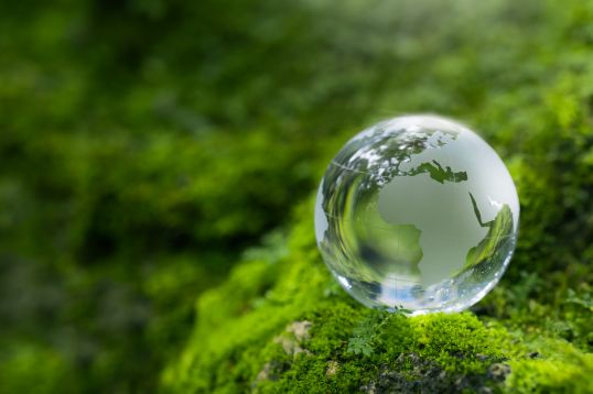 Sustainability image